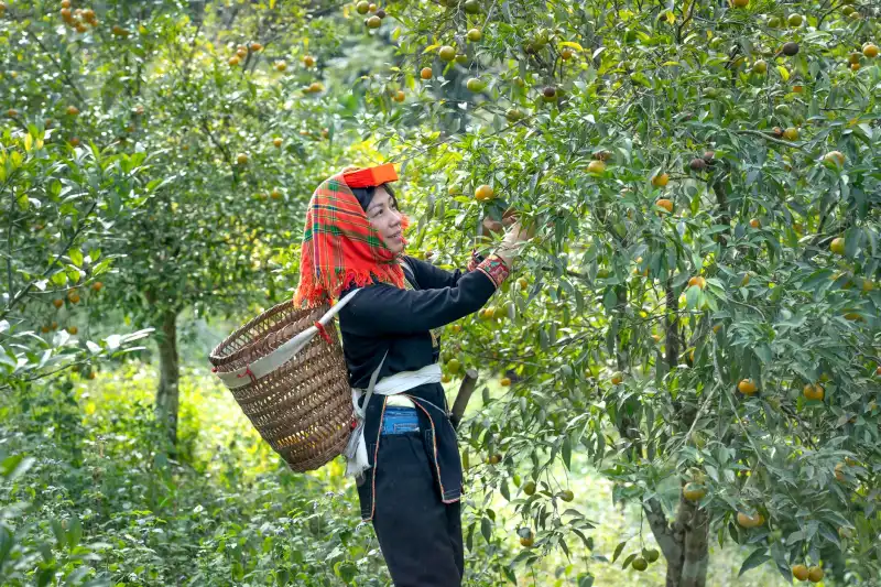 雅思琪娜护肤产品核心成分与配方技术优势解析